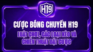 Cược Bóng Chuyền H19 – Cách Chơi & Soi Kèo