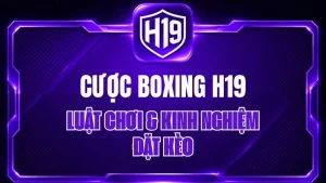 Cược Boxing H19 – Luật Chơi & Kinh Nghiệm Đặt Kèo