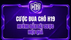 Cược Đua Chó H19 – Hướng Dẫn Đặt Cược Hiệu Quả